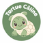 Tortue Caline - Accueil